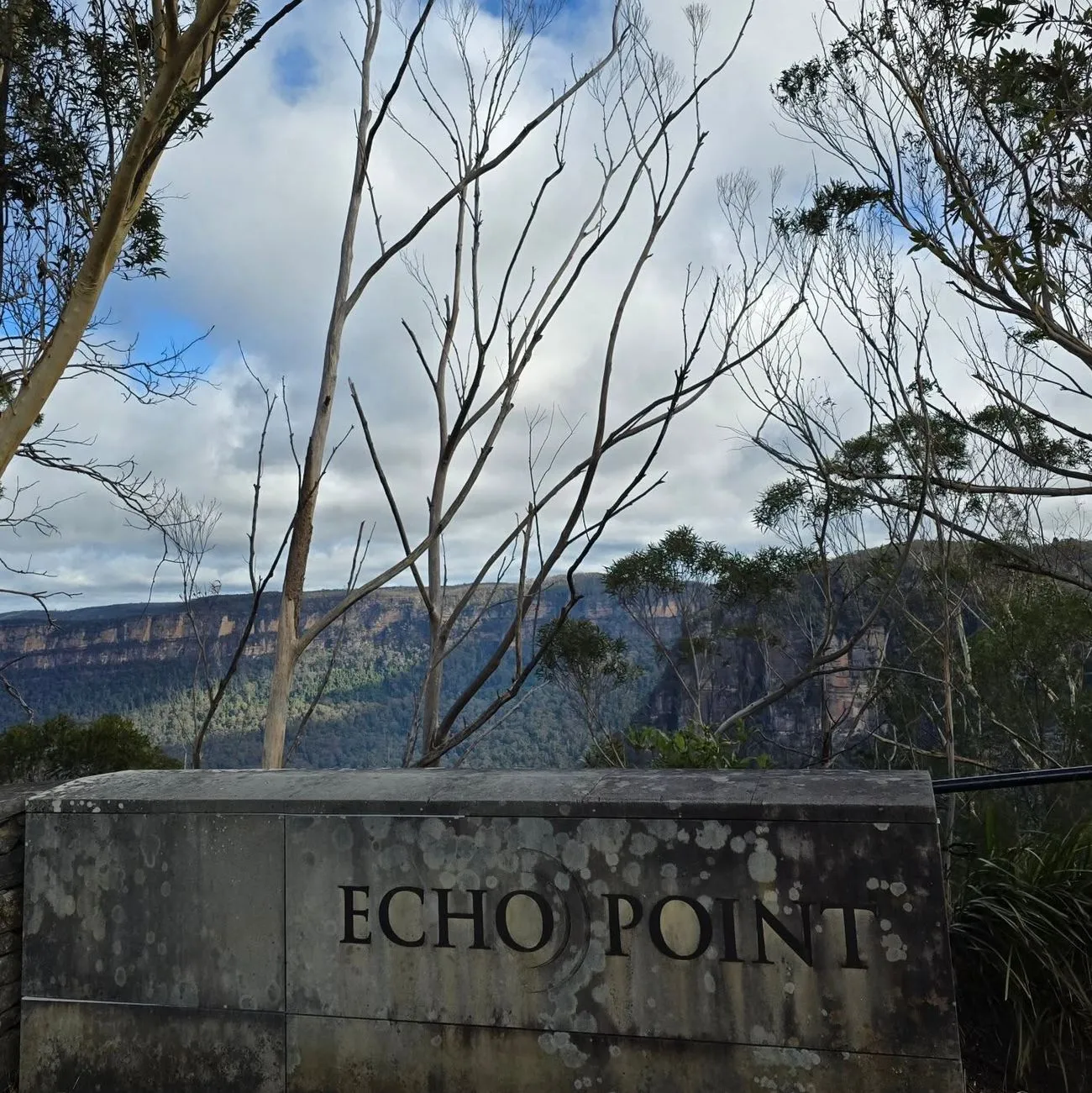 1 Day Blue Mountains Tour