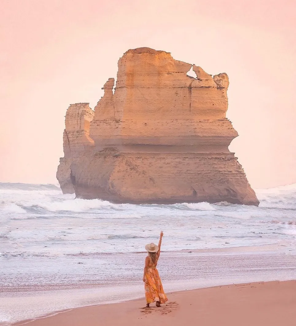 Wildlife Watching on the Great Ocean Road